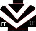Ethan Fettah's silks