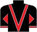 Matt Lewis's silks